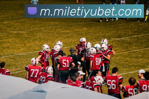 App Interface Preview